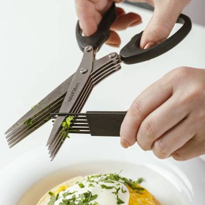 Ανοξείδωτο ψαλίδι για βότανα με 5 λεπίδες και χτενάκι καθαρισμού